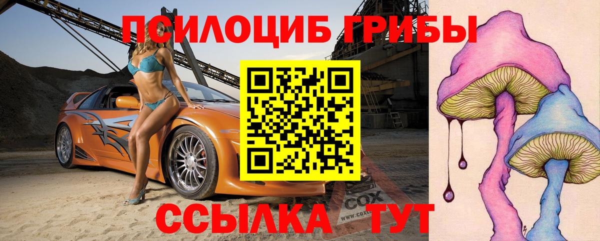 Псилоцибиновые грибы прущие грибы Подольск