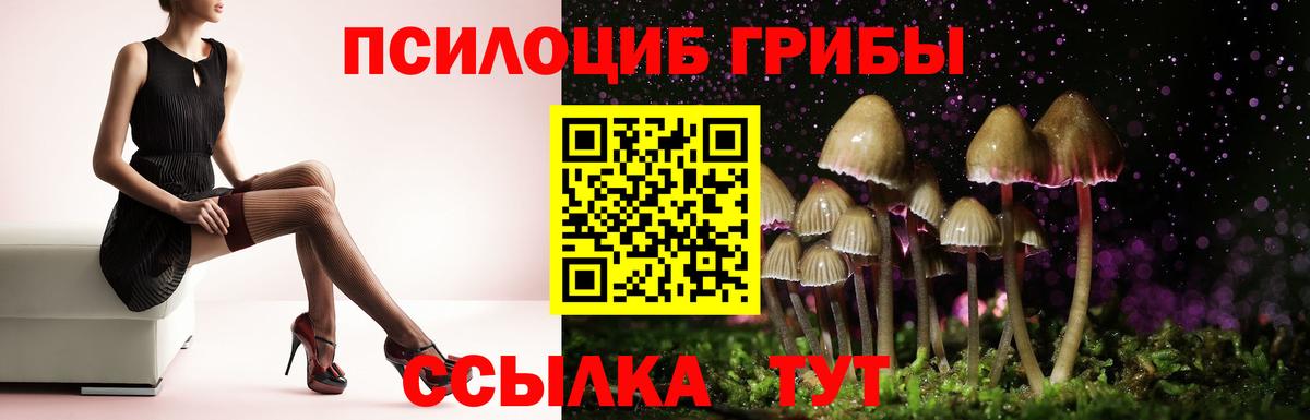 Псилоцибиновые грибы Psilocybe  Вход с VPN  Подольск 